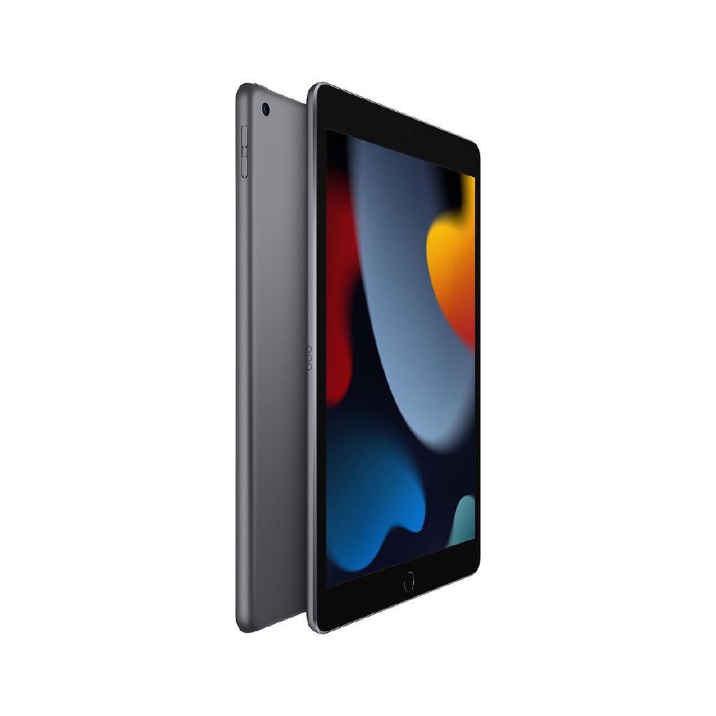 Apple iPad 10.2-inch Wi-Fi 256GB 9th Gen: Ultimate Space Grey Tablet